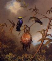 Heade, Martin Johnson - Black-Breasted Plovercrest